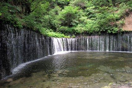 福建铭远制药有限公司生产劣药天麻被罚没超31万元