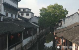 鸦片鱼的做法游戏画面